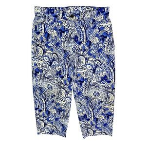 Allison Daley Petite Blue Floral Stretch Capri Pants Size 10P